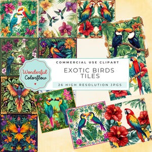 Exotiska fågelplattor – Tropiska djungelfågelklipp i högupplöst JPG | Kommersiellt bruk av papegoja- och tukangrafik för hantverk och design