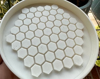 Honeycomb Plant Saucer | Plant Drain Tray