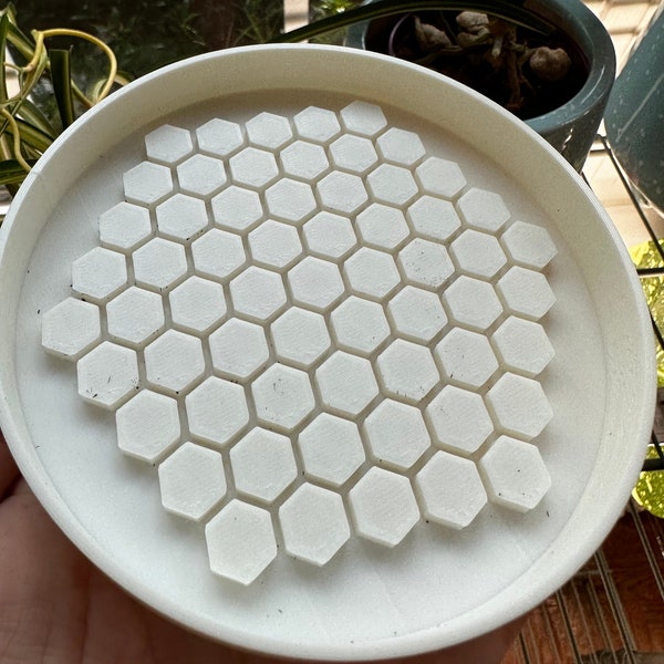 Honeycomb Plant Saucer | Plant Drain Tray