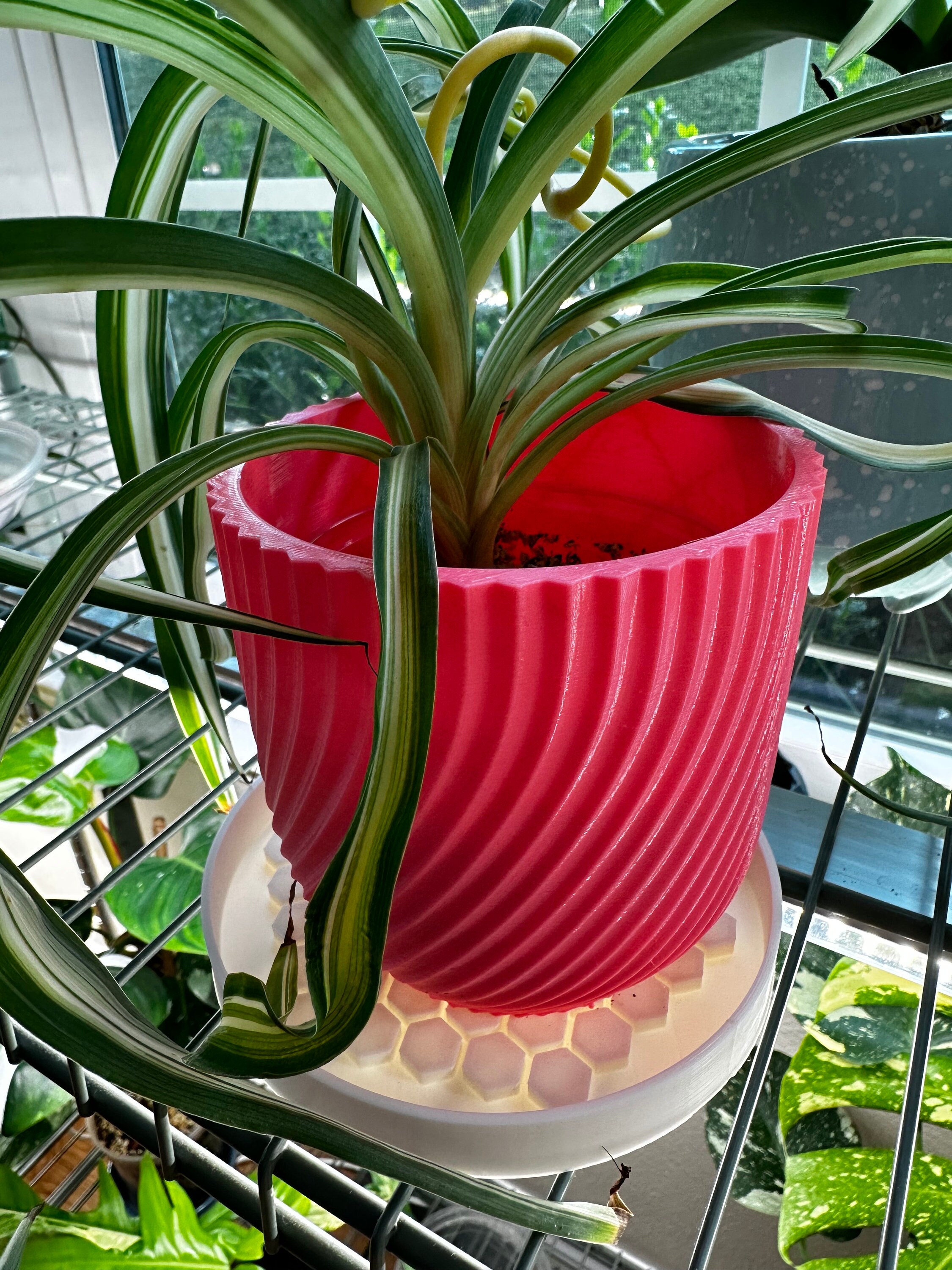 Honeycomb Plant Saucer | Plant Drain Tray - Etsy