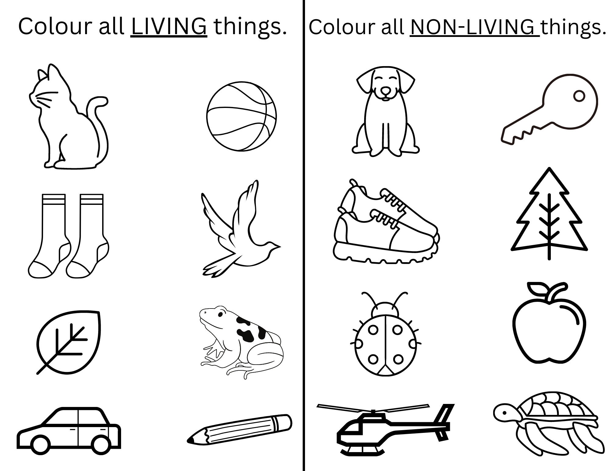 living-non-living-activity-sheet-etsy