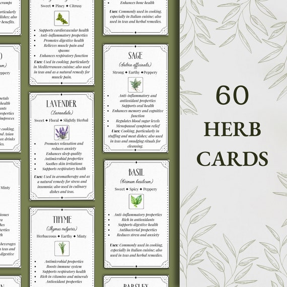 60 Herb Information Cards: Apothecary Medicinal Plant Guide (PDF)
