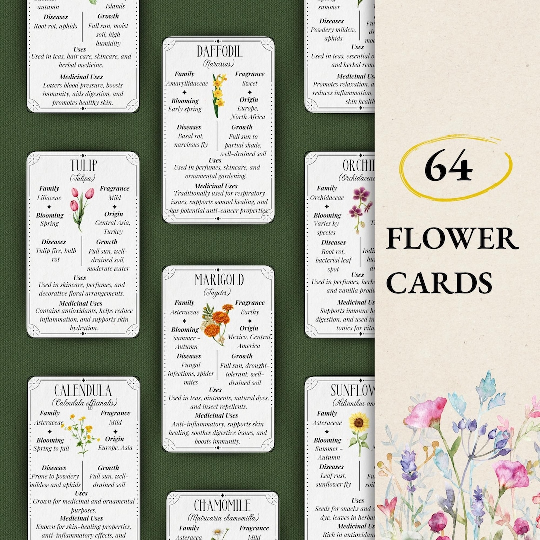 64 Flower Guide Cards: Botanical Uses & Meanings (instant Download) - Etsy