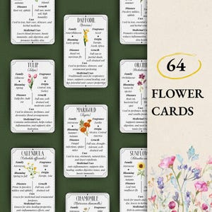64 cartes de fleurs, guide des fleurs, utilisations des fleurs, remède floral, cartes à base de plantes curatives, cartes botaniques