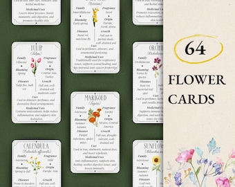64 Blumenkarten, Blumenführer, Blumenanwendungen, Blumenheilmittel, heilende Kräuterkarten, botanische Karten, sofortiger Download