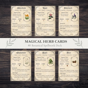 May include: A set of six botanical spellwork cards with detailed information on herbs like Calendula, Rose, and Patchouli. Each card features illustrations, magical uses, and spellwork details. The deck is titled "MAGICAL HERB CARDS 40 Botanical Spellwork Deck."