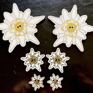 以下が含まれることがあります： 白い紙で切り抜かれたエデルワイスの花が5つ。花は様々なサイズで、2つの大きな花は真ん中に茶色のボタンのある黄色の花芯を持っている。小さな花は真ん中に茶色のボタンのある黄色の花芯を持っている。花は黒い背景の上に置かれている。