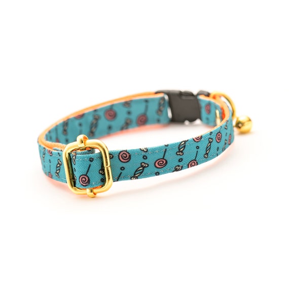 teal kitten collar