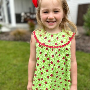 Toddler Sundress: Green Cotton Dress with Red Ladybugs (3T & 4T)