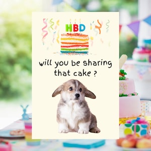 Lustige Hunde Geburtstagskarte, Geburtstagskarte vom Hund, alles Gute zum Geburtstagskarte, Corgis Geburtstagskarte, süßes Hundebesitzergeschenk, Haustierliebhabergeschenk