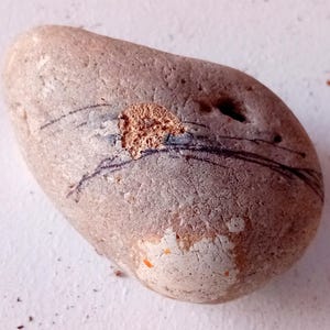 Fossil stone with organic veining | Natural & genuine with an enigmatic structure | 300 g natural stone