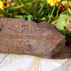 Small piece of bog oak from East Frisia, black carving wood for runes, ritual wood or altar decoration, 14 cm long