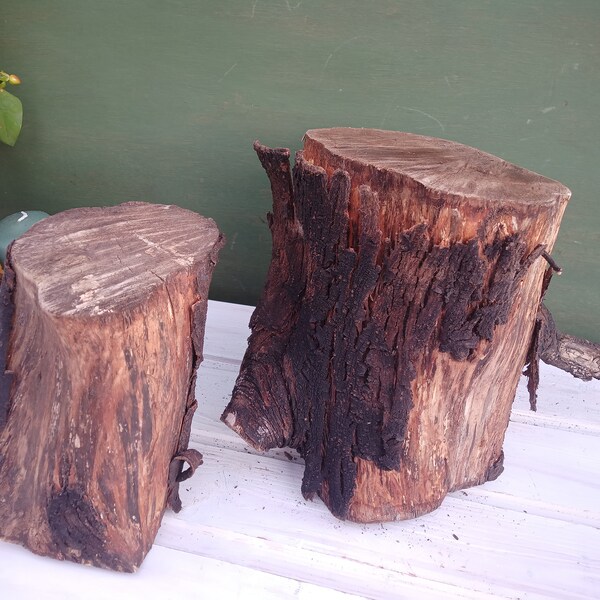 Tree Stump Table Etsy Australia