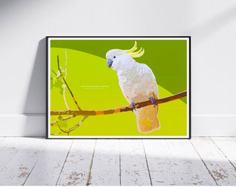 Sulphur Crested COCKATOO birds print poster, Nursery parrot Poster Print, Australian birds downloadable Printable wall art