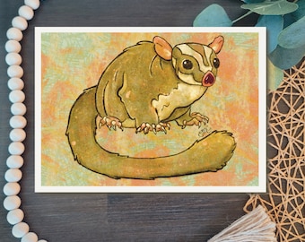 Sugarglider Digital Watercolor Fine Art Wall Print