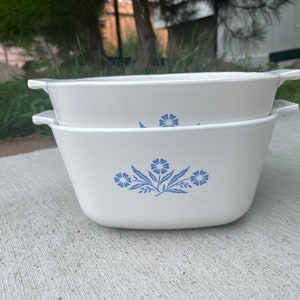 May include: Two white, rectangular casserole dishes with handles, stacked. Each dish has a blue floral design. The dishes are on a concrete surface, with greenery in the background.