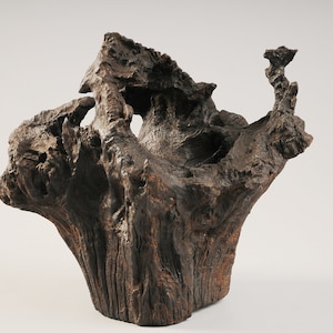 Decor. abstract drift wood sculpture