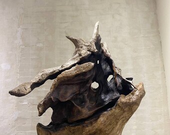 Sail. Wood Sculpture.  abstract drift wood sculpture