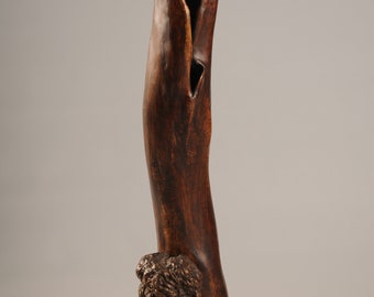 No name.  Abstract Wood Sculpture. abstract drift wood sculpture