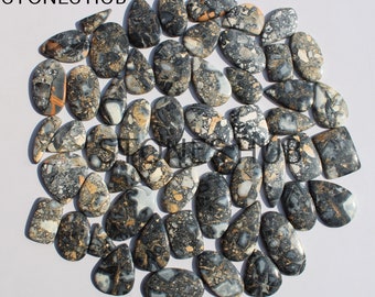 May include: A collection of 40+ natural stone cabochons in various shapes and sizes. The stones are a mix of black, white, and brown with a speckled pattern.  STONES HUB is printed in the top left corner of the image.