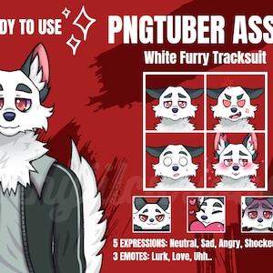 Reactive PNGtuber Starter Bundle - White Wolf Furry in a Tracksuit