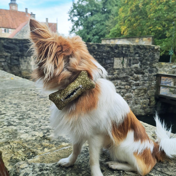 Kotbeutelspender, Tütenspender für Halsband und Geschirr (Hunde)