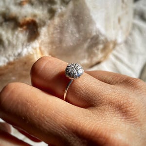 Pode incluir: Um anel de prata com um design esférico texturizado, possivelmente inspirado em um ouriço-do-mar. A banda do anel é fina e delicada, e o elemento esférico é detalhado com pequenas texturas em relevo. O anel é mostrado em um dedo.