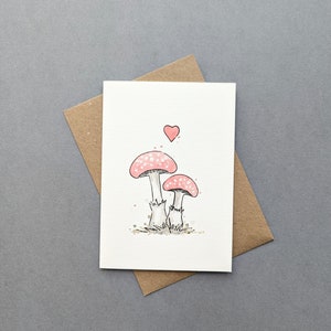 Beaux champignons