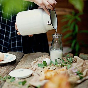 Vintage aluminum milk jug with wooden handle, Hungarian Farmhouse milk jug, kitchen storage box, Aluminum watering can, rustic flower vases