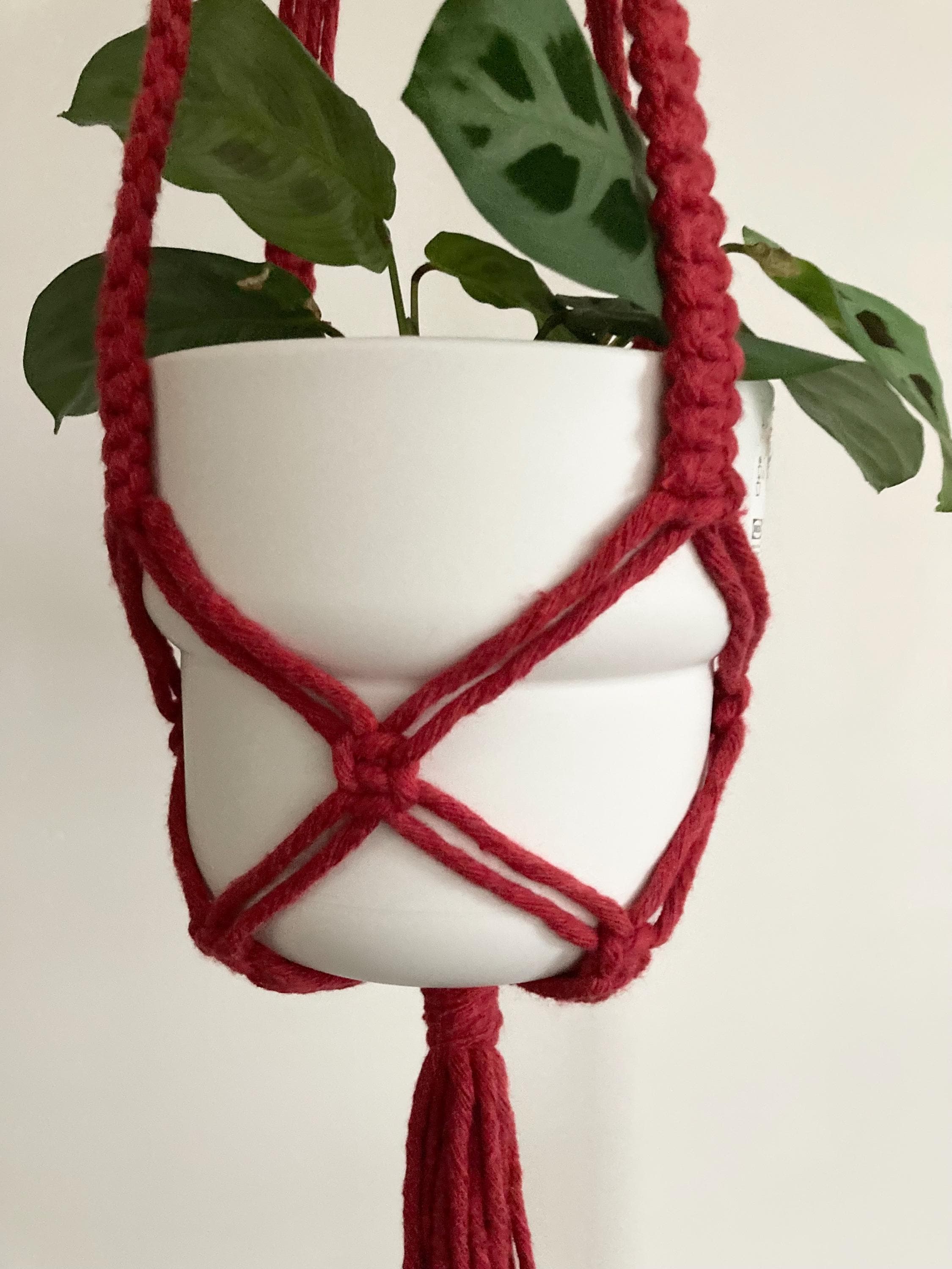 Macrame Hanging Plant Holder: Red Chunky Cord, Boho Decor, indoor accessory.