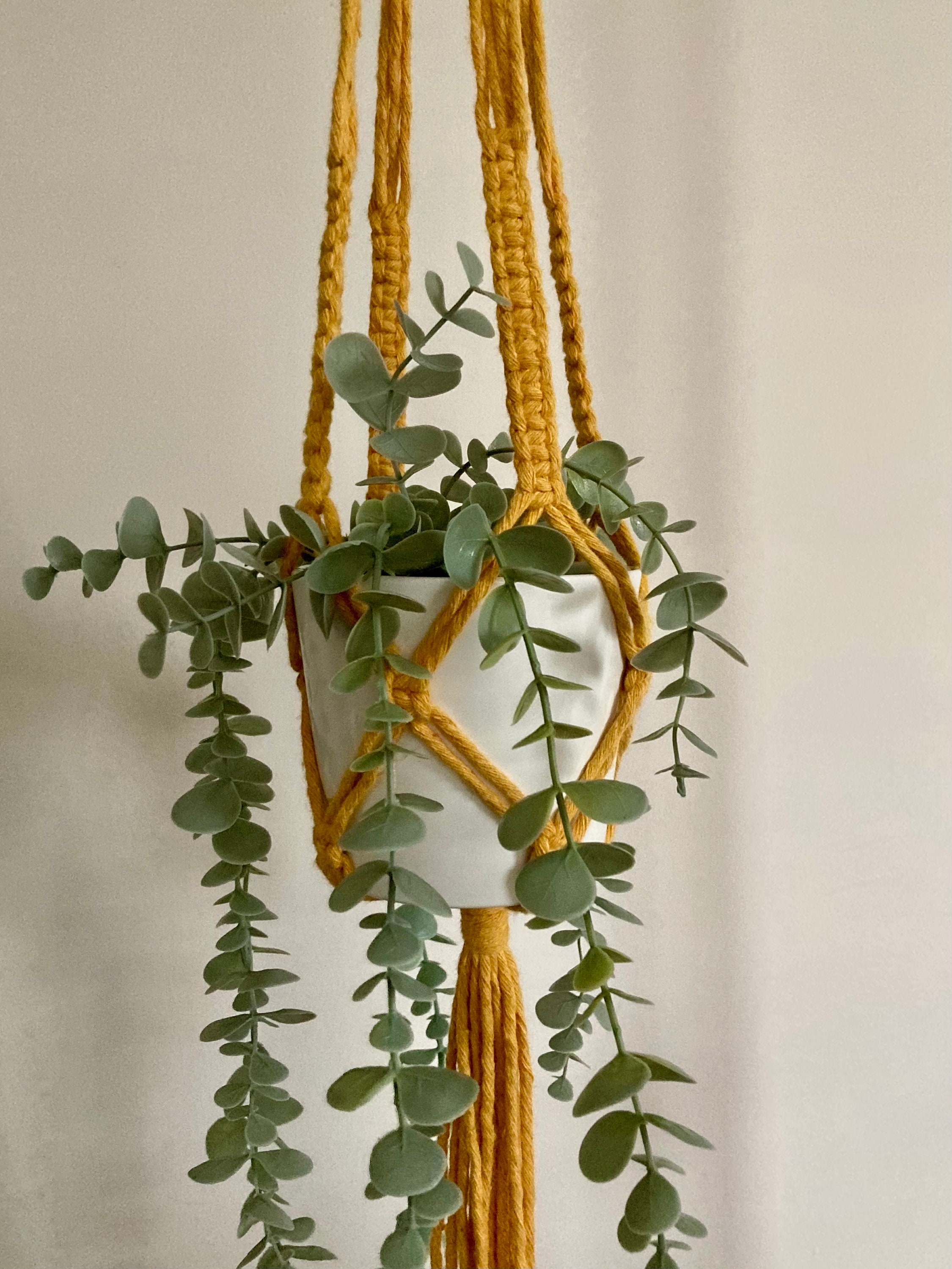 Macrame Hanging Plant Holder: Mustard Yellow Chunky Cord, Boho Decor, indoor plant hanger.