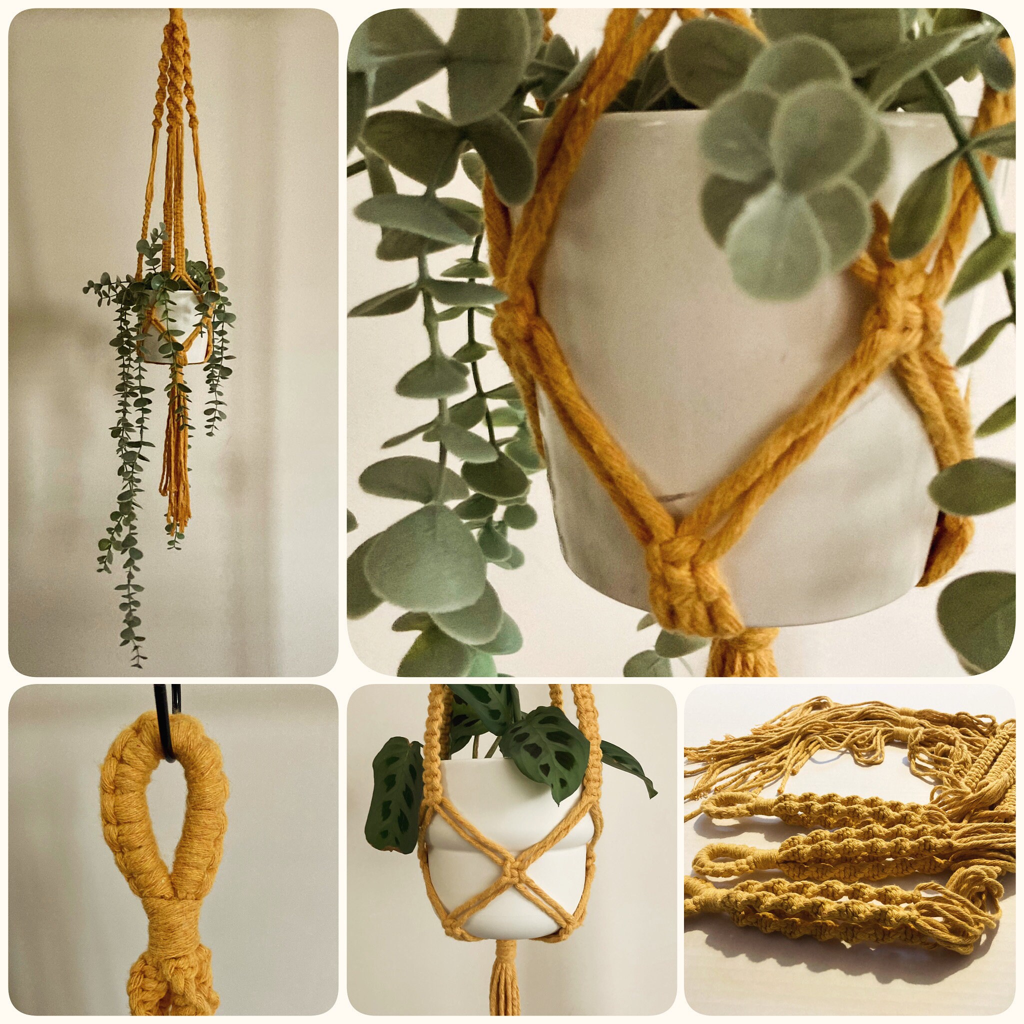 Macrame Hanging Plant Holder: Mustard Yellow Chunky Cord, Boho Decor, indoor plant hanger.