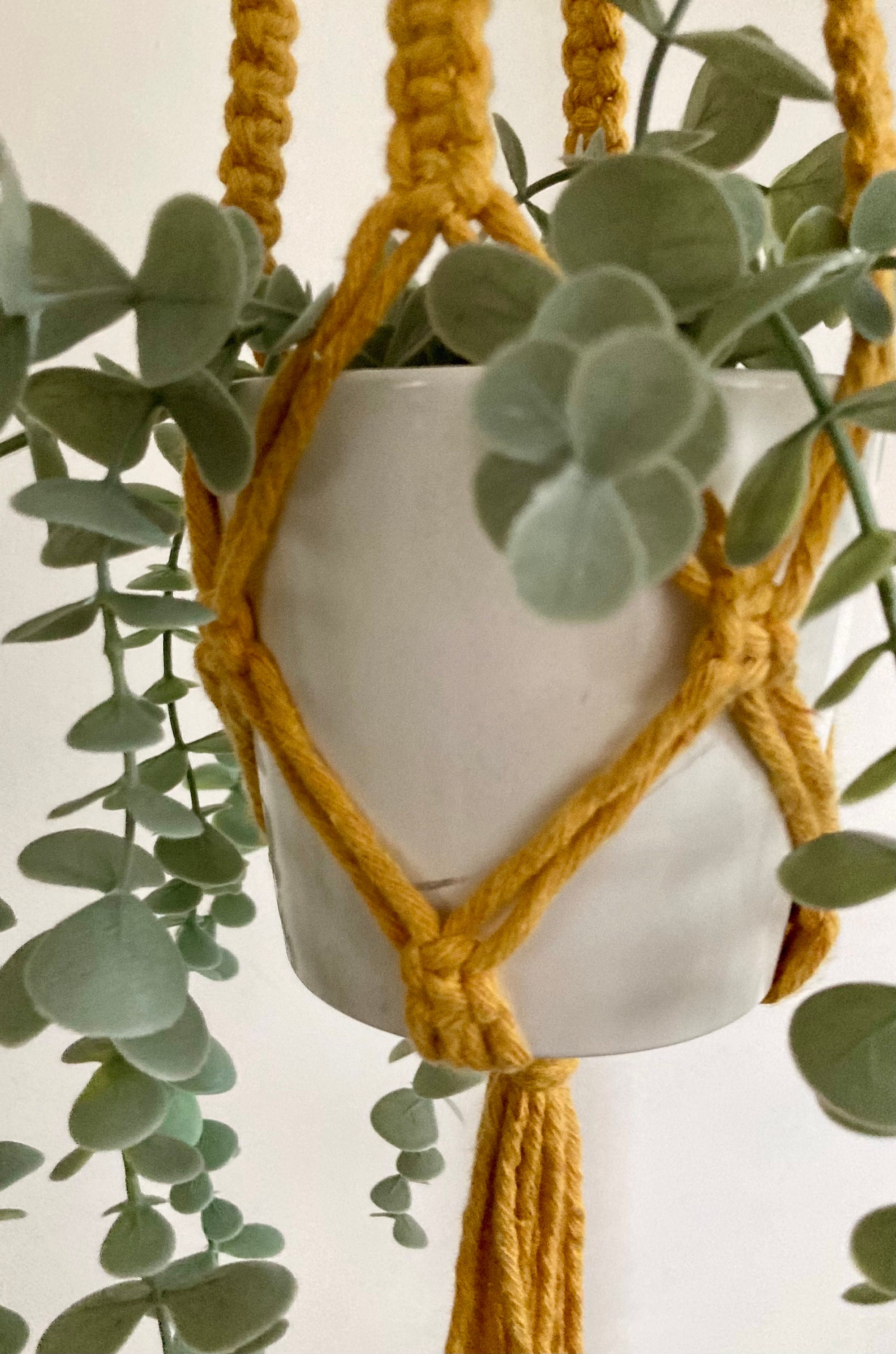 Macrame Hanging Plant Holder: Mustard Yellow Chunky Cord, Boho Decor, indoor plant hanger.