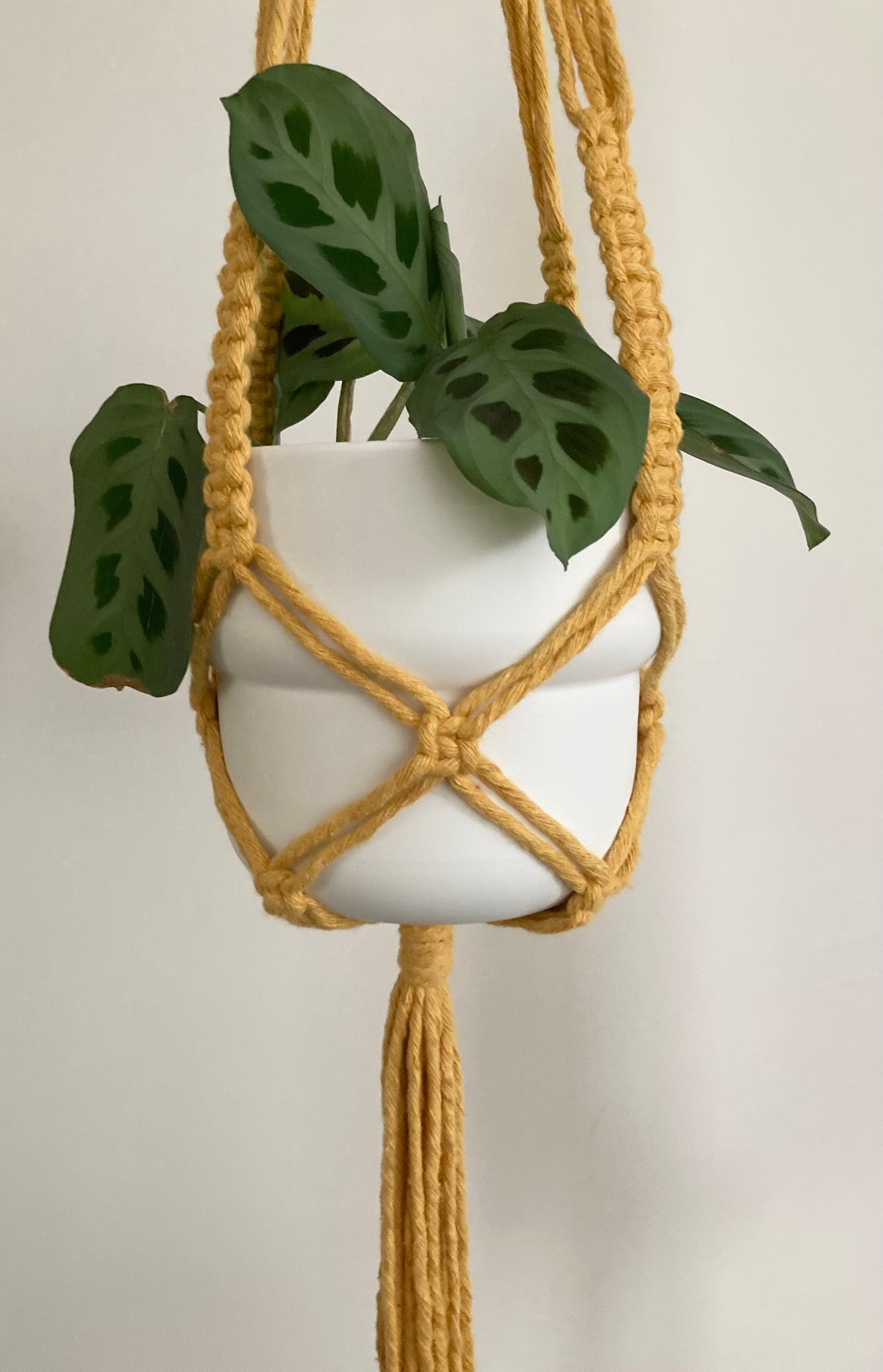 Macrame Hanging Plant Holder: Mustard Yellow Chunky Cord, Boho Decor, indoor plant hanger.