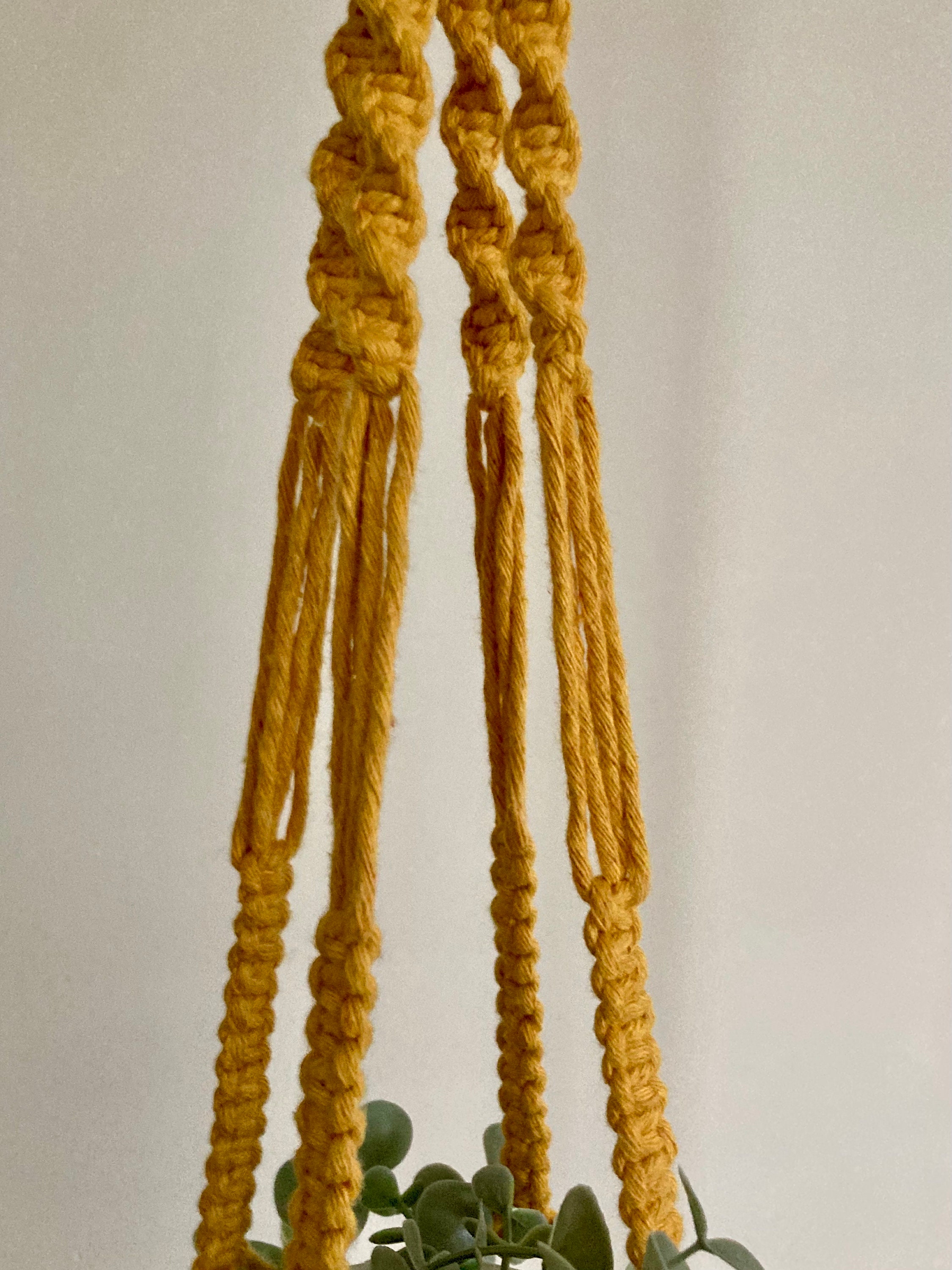 Macrame Hanging Plant Holder: Mustard Yellow Chunky Cord, Boho Decor, indoor plant hanger.