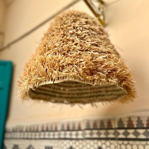May include: A natural fiber pendant light fixture. The lampshade is cone-shaped, with a woven base and a shaggy, textured exterior. The light fixture is suspended from a brass-colored arm attached to the wall. The overall color palette is neutral, with beige and brown tones.