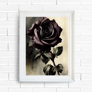 AI Art Digital Print Wall Decor Vintage Moody Watercolor Black Rose Romantic Cottagecore Fairycore Witchcore Dark Academia Goth Printable
