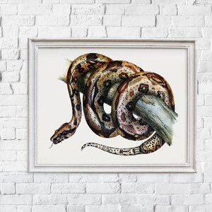 Digital Print Wall Decor Vintage Boa Constrictor Snake Painting Illustration Cottagecore Fairycore Witchcore Dark Academia Printable Art