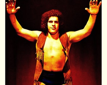 Andre the Giant Stickers (2): WWE Wrestling Memorabilia