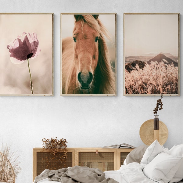 Horse Wall Art | Farmhouse Decor | Farmhouse Wall Art Set of 3 | Poppy Wall Art | Modern Farmhouse Art | Horse Photography | Horse Poster