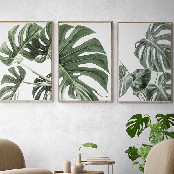 Monstera Leaf Print | Botanical Prints | Leaf Wall Art | Tropical Wall Art | Botanical Wall Art | Tropical Leaf Prints | Set of 3 Wall Art