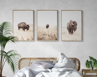 Buffalo Wall Art | Gallery Wall Art | Farmhouse Art | Set of 3 Prints | Buffalo Photography | Farmhouse Decor | Bison Print | Animal Print