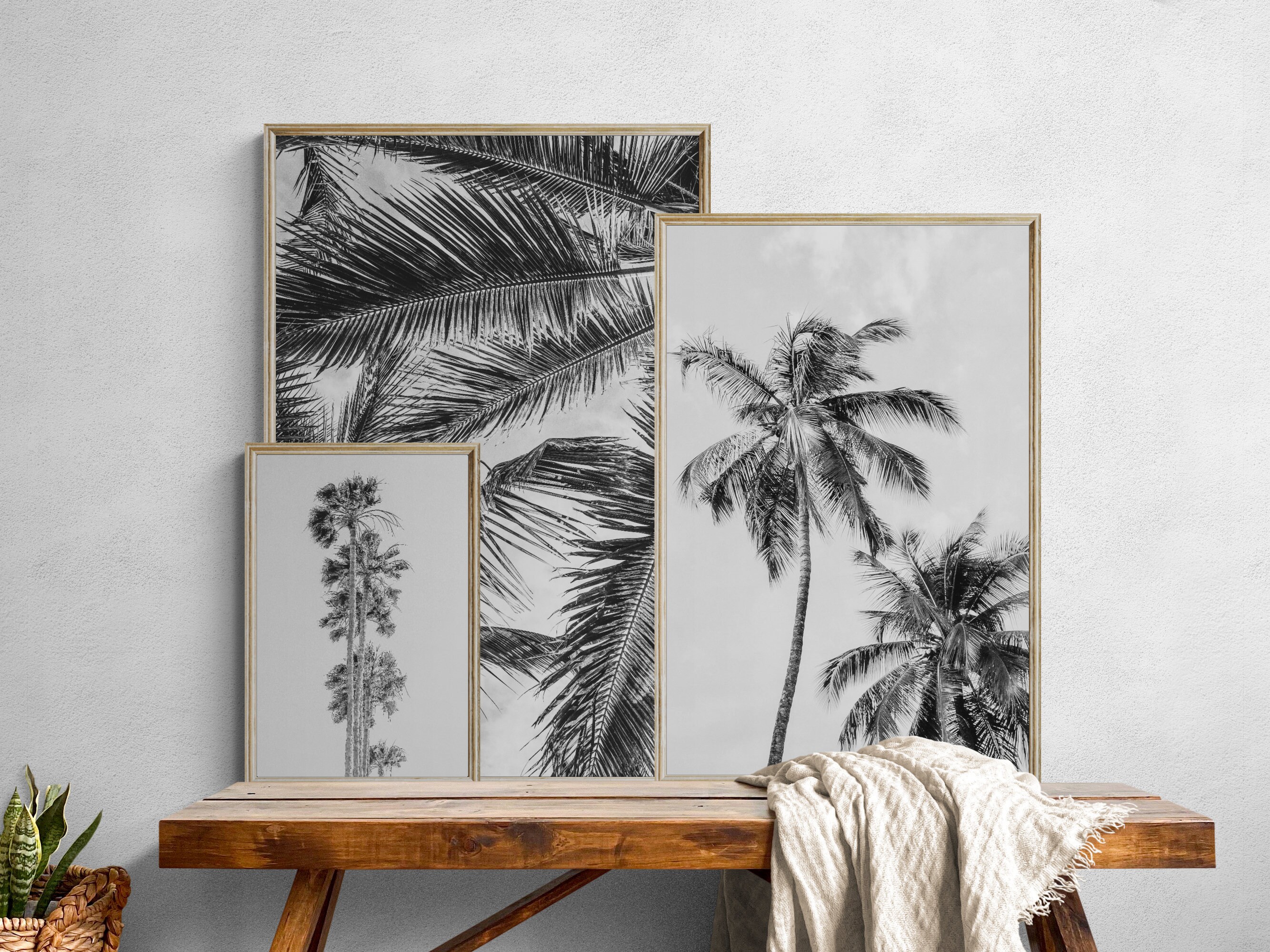 Palm Tree Wall Art Beach Wall Art Black and White Wall Art Etsy