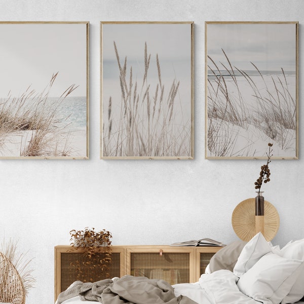 Poster Photo Déco "Cotton Grass" Sur Papier Mat 210g - Art Mural Contemporain, Fabrication Australienne
