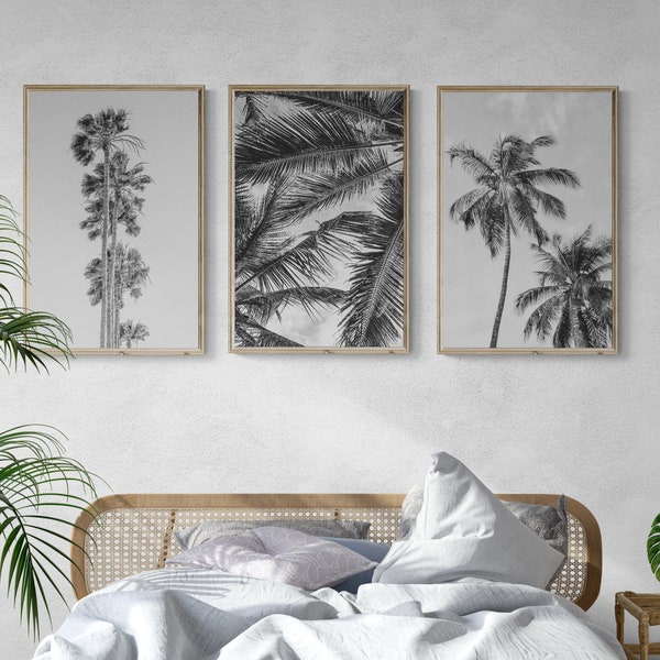 Palm Tree Wall Art | Beach Wall Art | Black and White Wall Art | Palm Tree Print | Set of 3 Wall Art | Tropical Wall Art | Living Room Decor