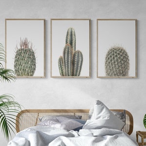 Cactus Wall Art | Cactus Photography | Cactus Print | Living Room Decor | Printable Art | Set of 3 Wall Art | Boho Decor | Botanical Print