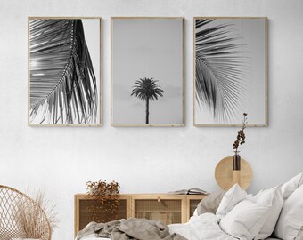 Black and White Palm Tree Wall Art | Palm Tree Poster | Beach Wall Art |Tropical Wall Art | Set of 3 Print | Beach Decor | Living Room Decor