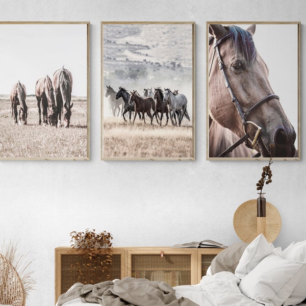 Horse Wall Art | Horse Poster | Farmhouse Decor | Farmhouse Wall Art Set of 3 | Horses Print | Modern Farmhouse Art | Horse Photography