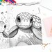 Baby Sea Turtle Coloring Pages for Adults and Teens | Printable Coastal ...