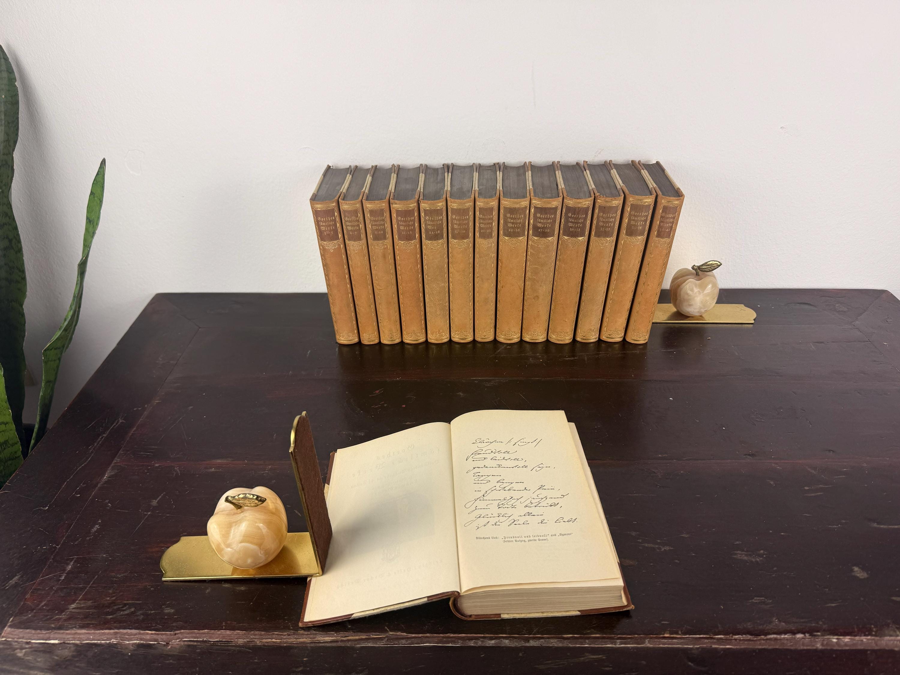 Vintage Goethe Book Set – Complete Works Multi Volume – Classic German ...